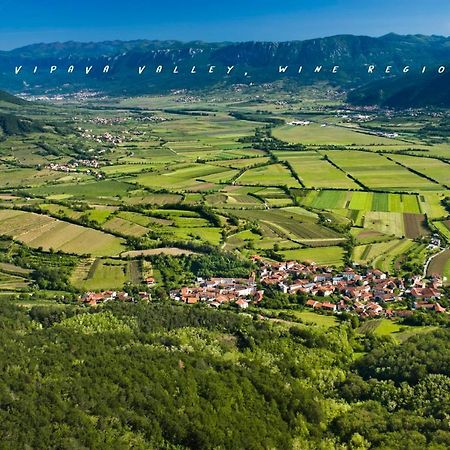 Apartment Nova Gorica - Nocitve Falco Zewnętrze zdjęcie