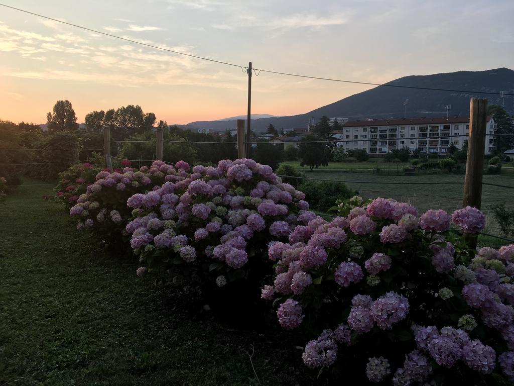 Apartment Nova Gorica - Nocitve Falco Zewnętrze zdjęcie