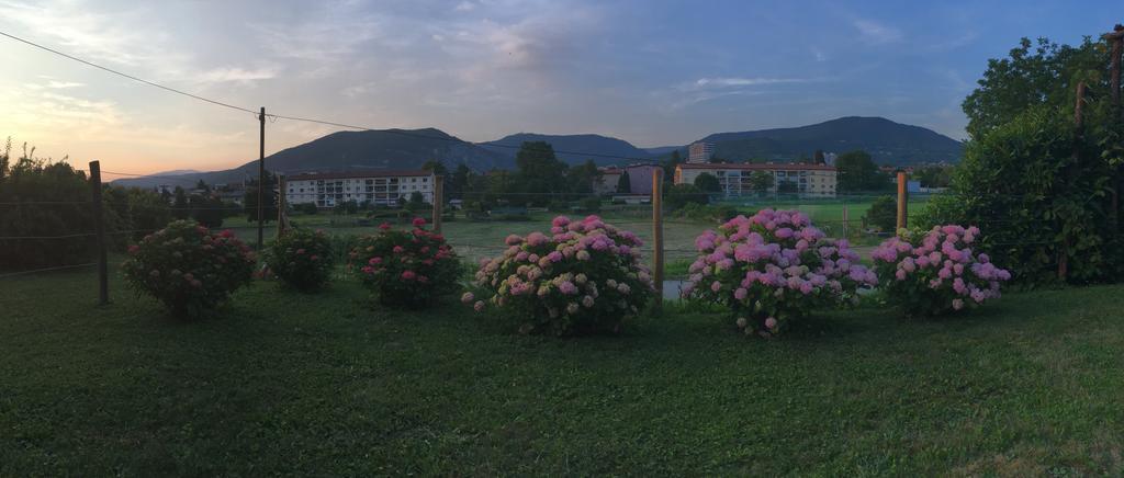 Apartment Nova Gorica - Nocitve Falco Zewnętrze zdjęcie